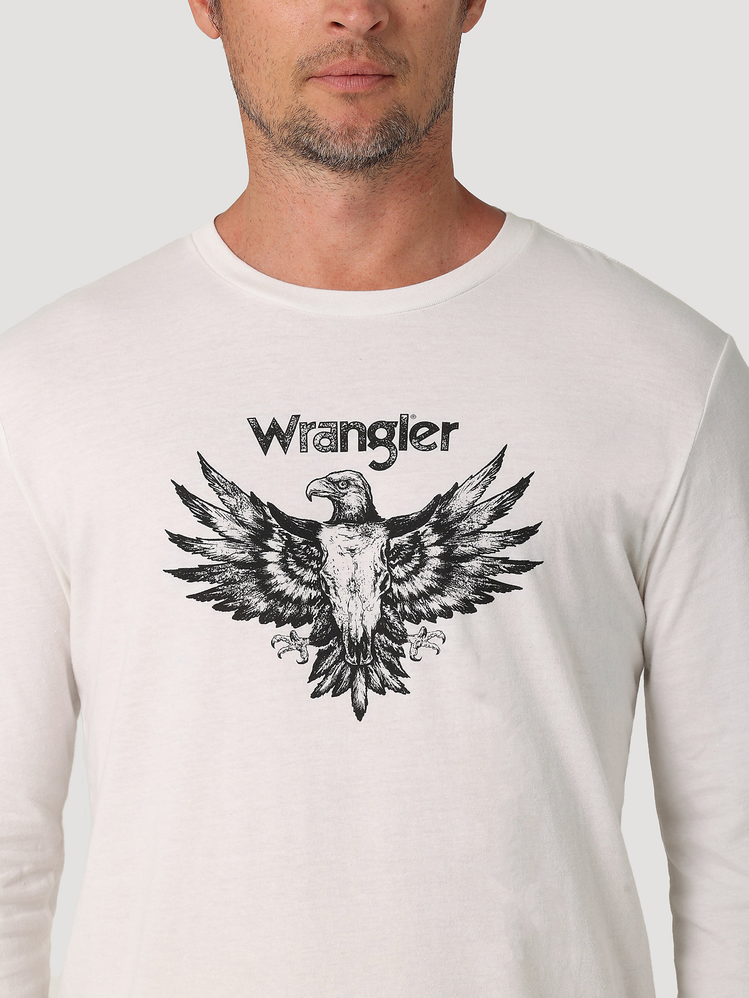 Men's Long Sleeve Eagle in Flight Graphic T-Shirt in Marshmallow alternative view 2