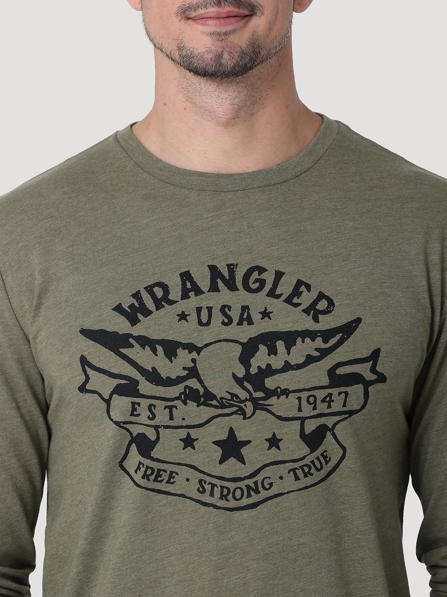 Men's Eagle Graphic T-Shirt in Burnt Olive alternative view 1