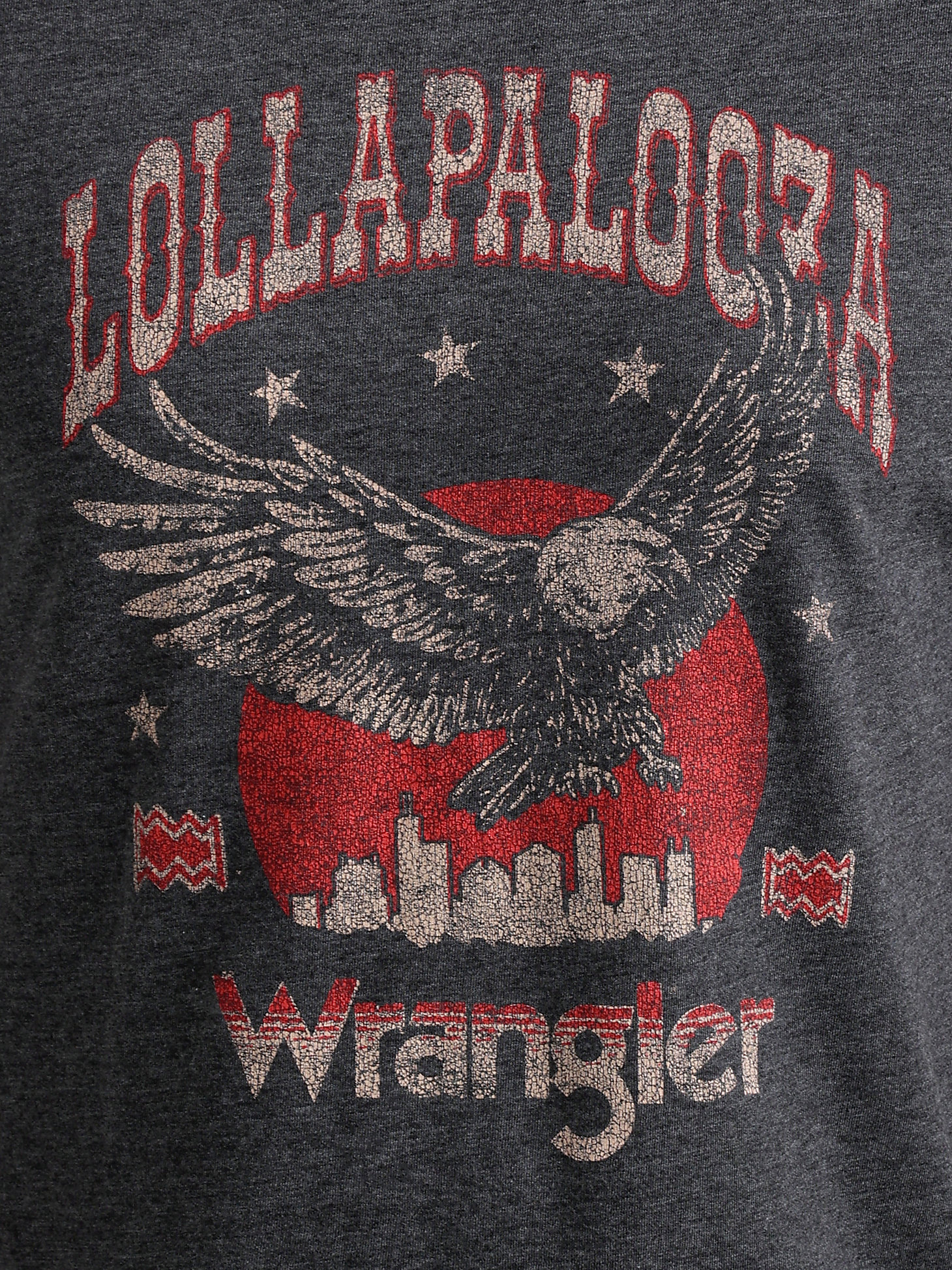 Wrangler x Lollapalooza Men's Eagle T-Shirt in Sapphire Navy Heather alternative view 2