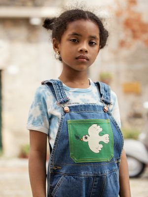 FR Denim Bib Overalls