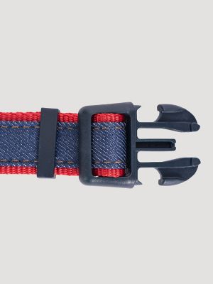Patagonia dog collar sale