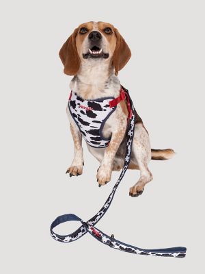 Cow Print Comfort Dog Harness
