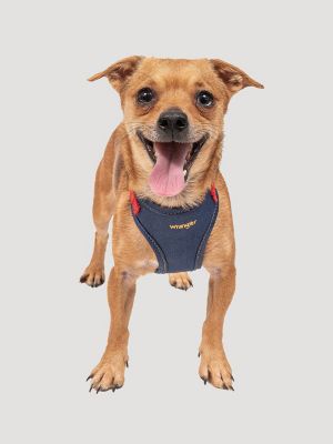 Original doggy kingdom harness 2025