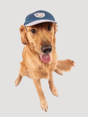 Eagle Logo Baseball Dog Cap