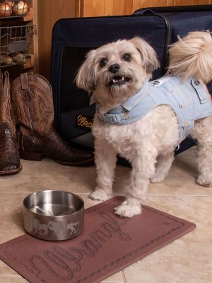 Padded Feeding Pet Mat