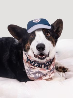 Eagle Logo Baseball Dog Cap