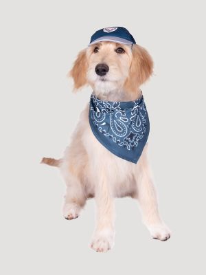 Eagle Logo Baseball Dog Cap in Navy