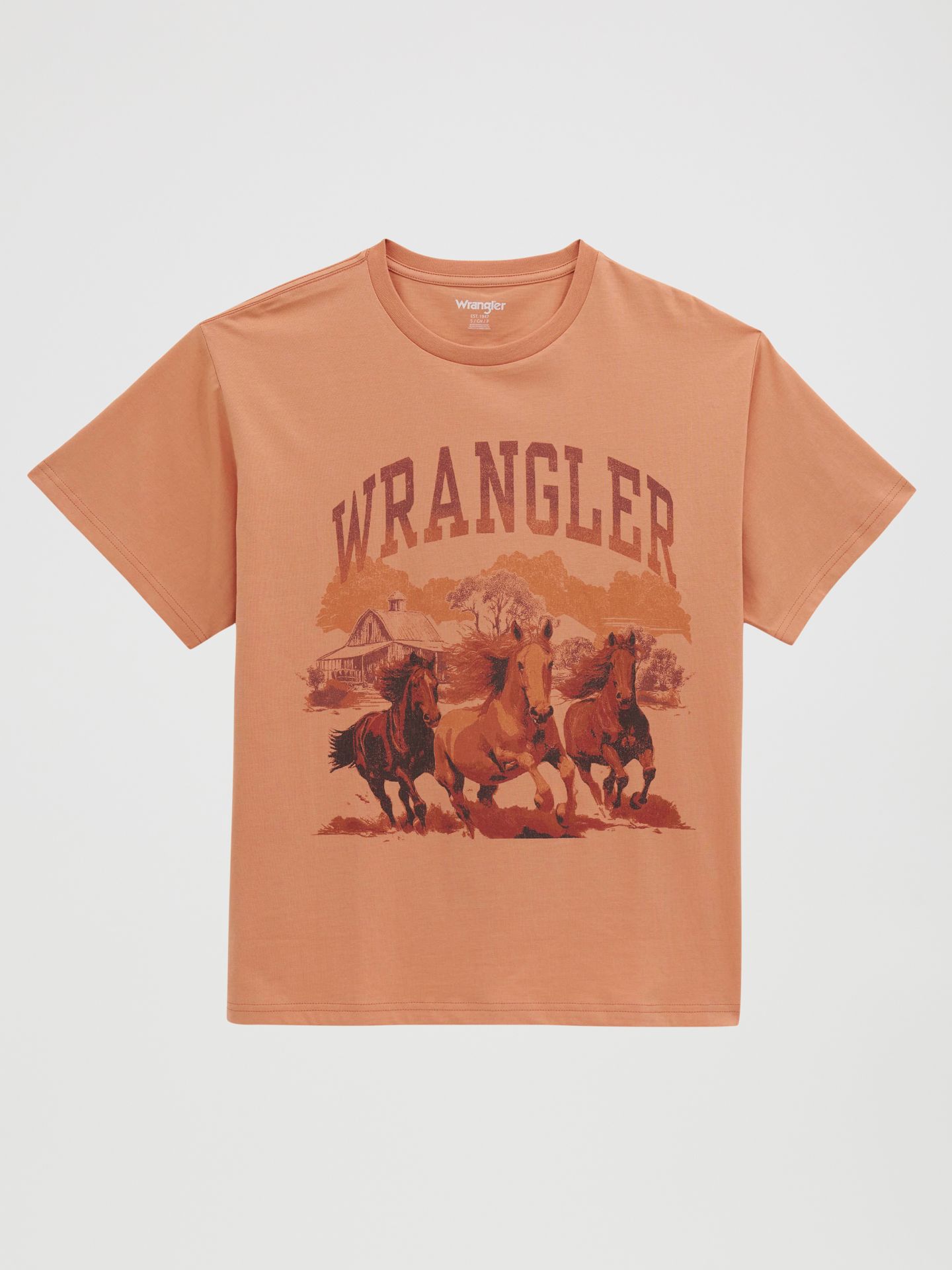 Женская футболка Wrangler Three Horses Girlfriend Graphic, цвет: Приглушённый глиняный — фото 1