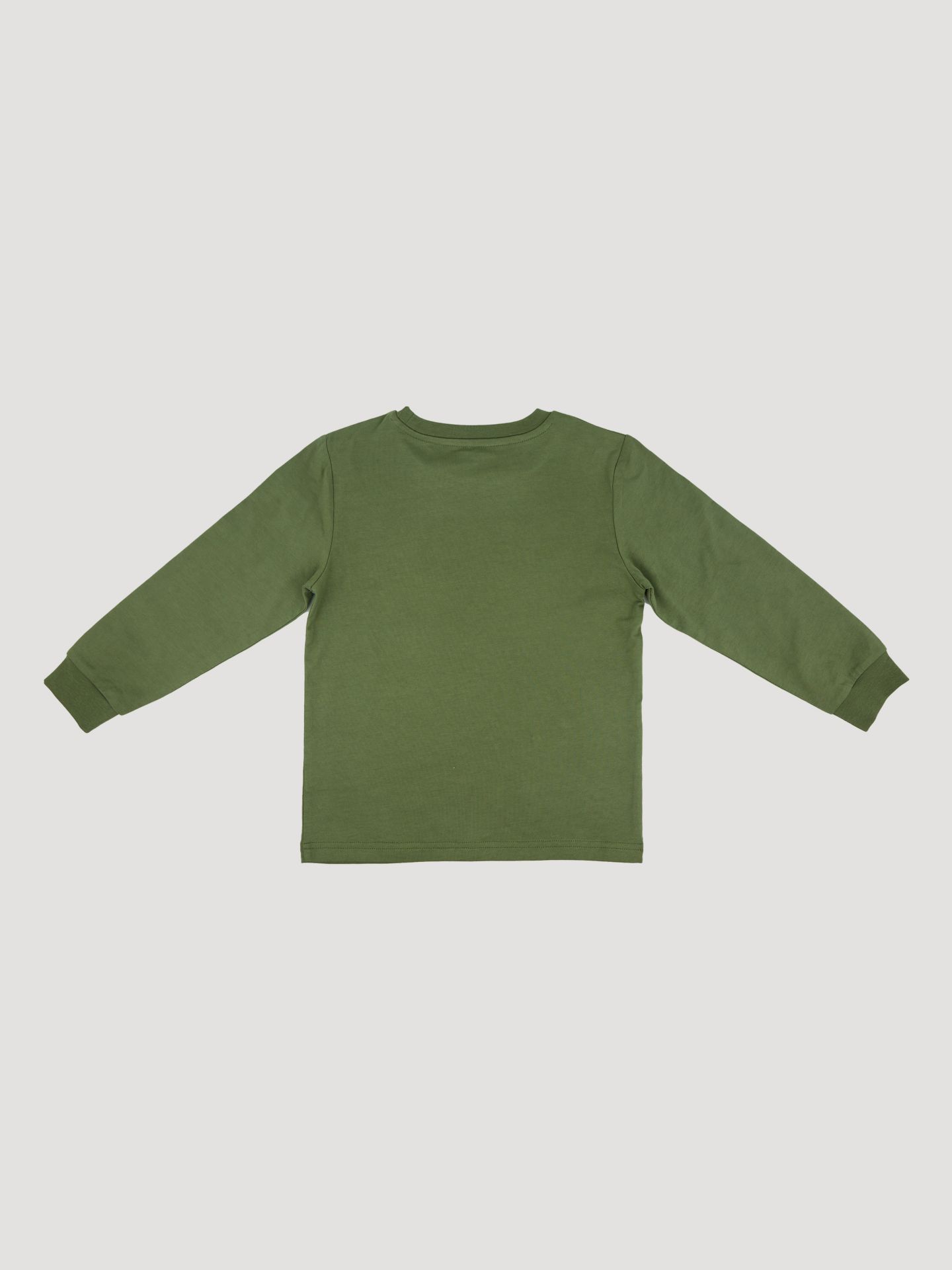 Футболка Wrangler Long Sleeve Graphic для мальчиков, цвет: Зелёный, вариант 1 — фото 2