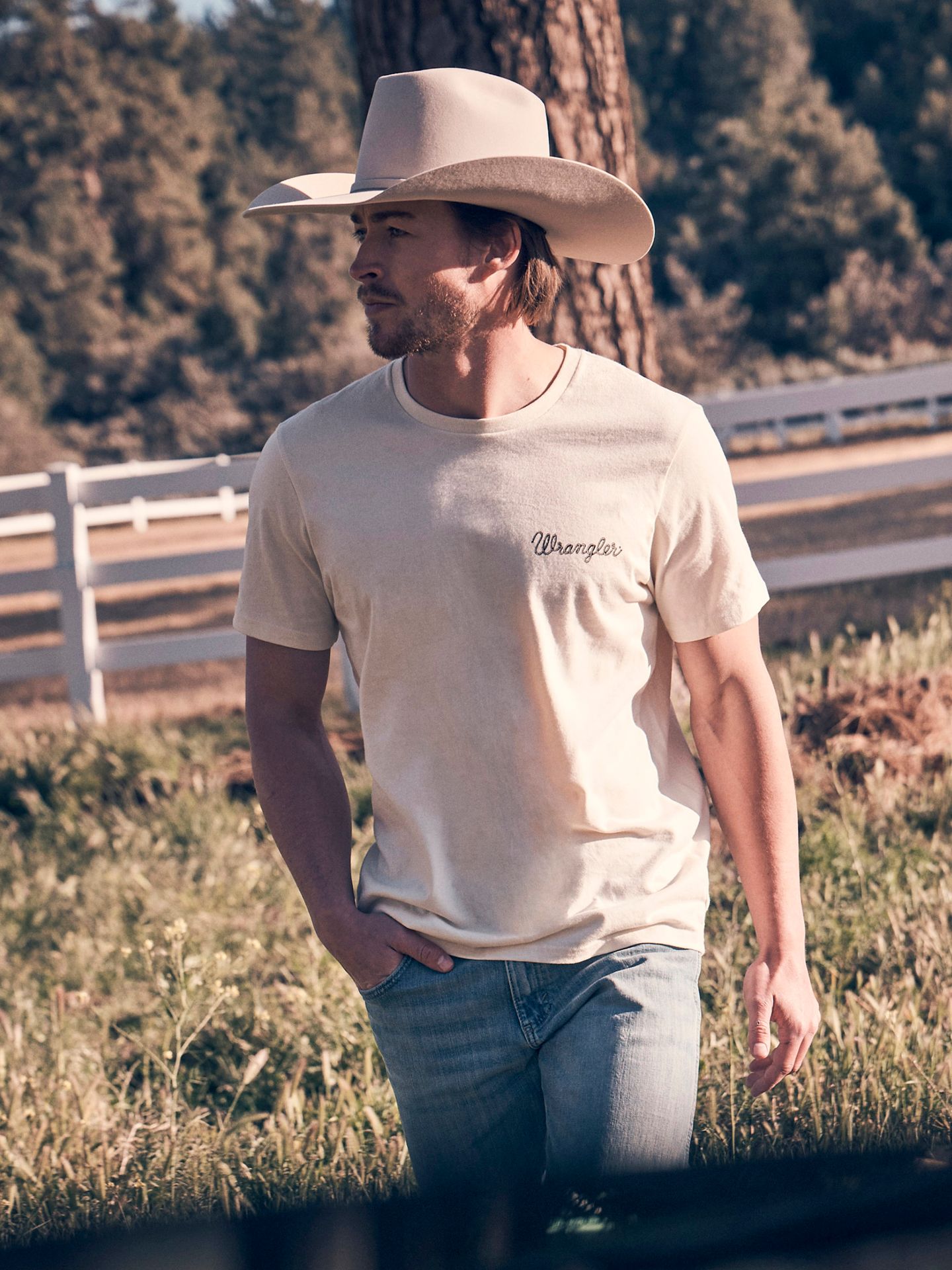Мужская футболка Wrangler Golden Hour Southwestern Graphic, цвет: Состаренный белый — фото 2