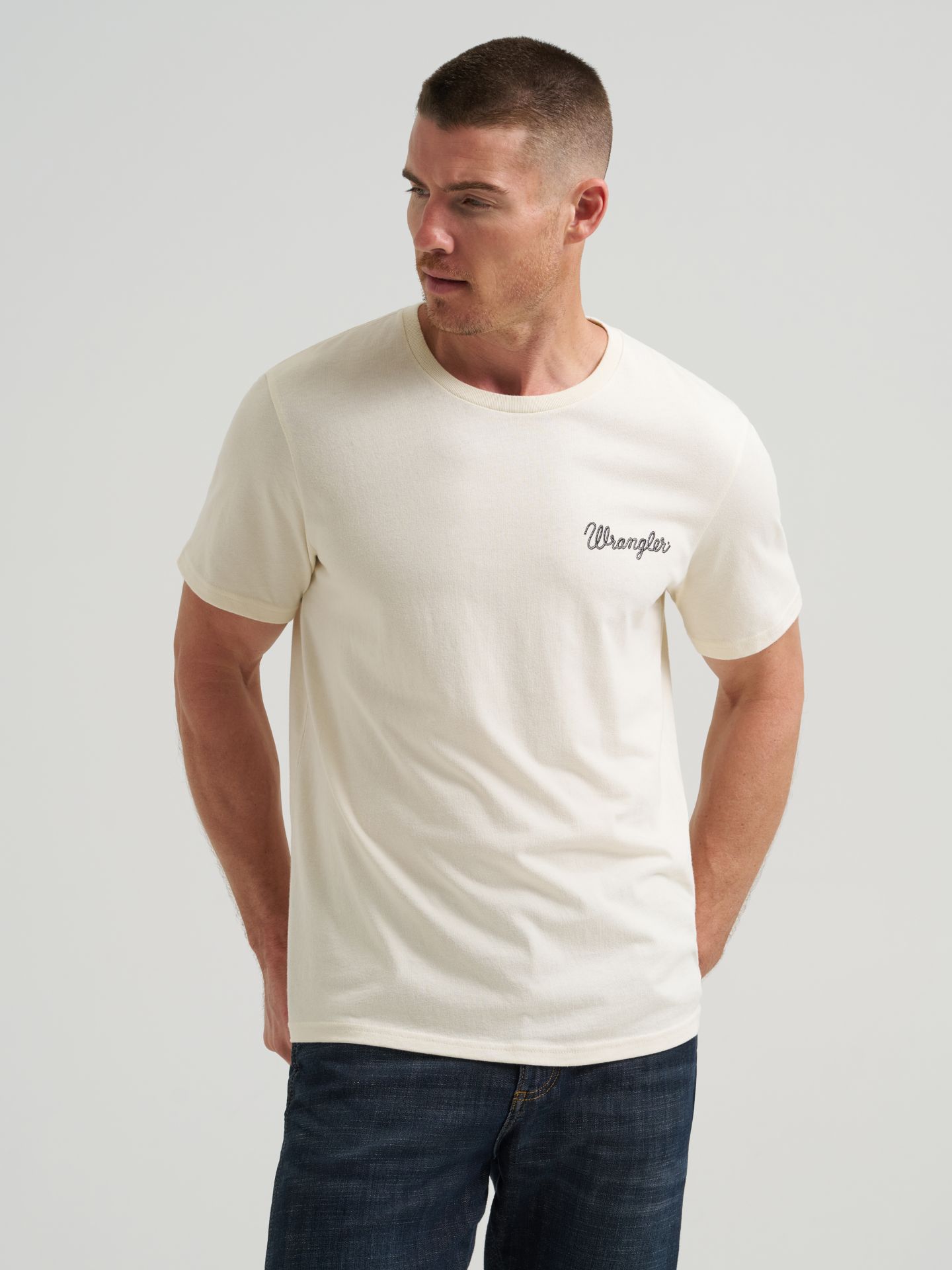 Мужская футболка Wrangler Golden Hour Southwestern Graphic, цвет: Состаренный белый — фото 4