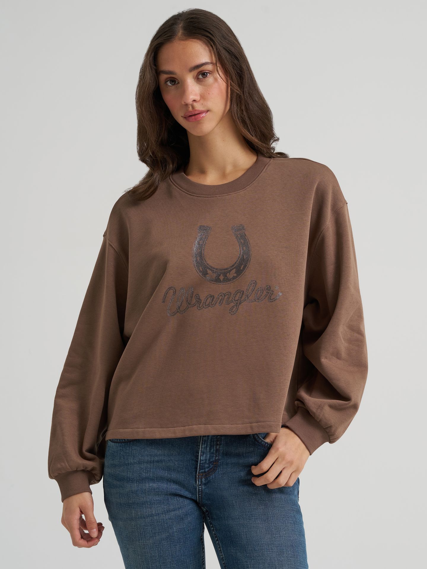 Женский свитер Wrangler Lucky Logo Canyon Crew Pullover, цвет: Кофейный кварцевый — фото 1